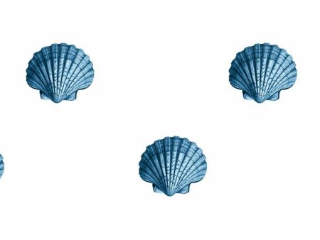 Seashell  Wallpaper by Wallshoppe - Blue Online Hot Sale