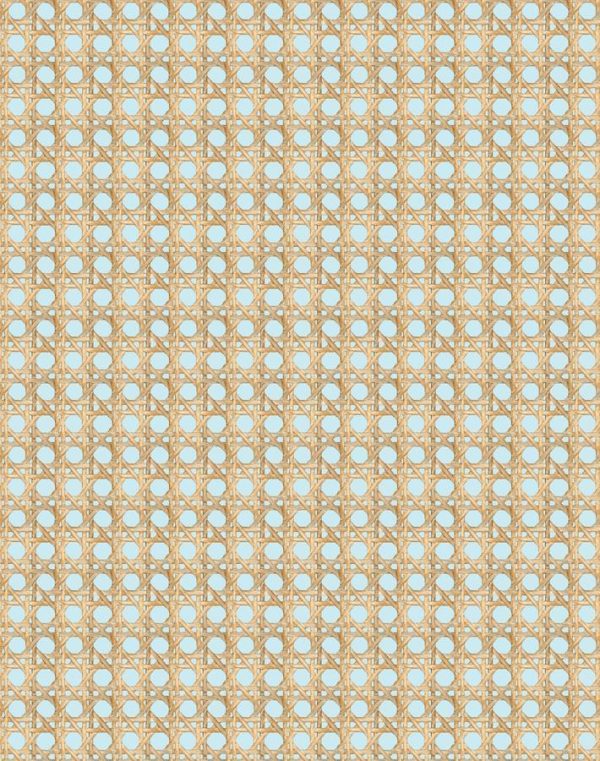 Faux Caning  Wallpaper by Wallshoppe - Sky For Sale