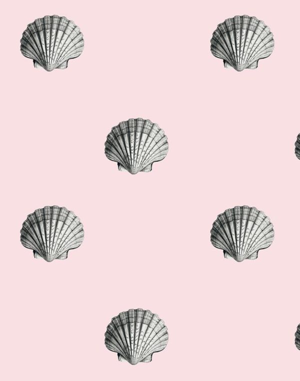 Seashell  Wallpaper by Wallshoppe - Shell Online