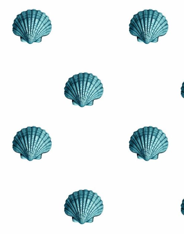 Seashell  Wallpaper by Wallshoppe - Teal Hot on Sale