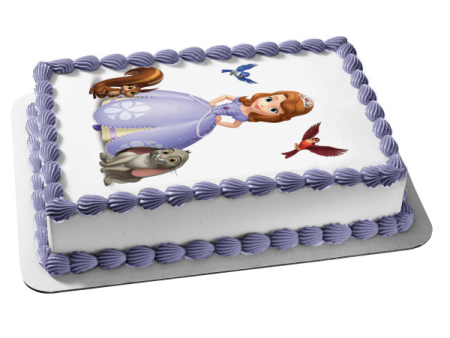 Princess Sofia the First Clover Mia the Bluebird Whatnaught and Baileywick Edible Cake Topper Image ABPID07530 For Sale