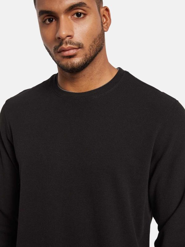 Octave Men Sweatshirt Online now