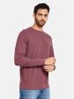 Octave Men Maroon Sweatshirt Online